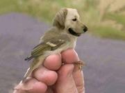 longyun的个人资料头像