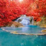 悠闲风声kiP头像