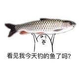 T坐等吃饭头像