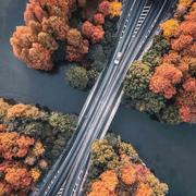 把酒言欢的个人资料头像