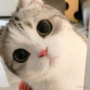 空吧哇哇哇的个人资料头像