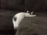 ffi3的个人资料头像