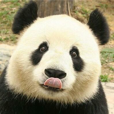 快乐好吃点8头像