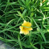 用户2554740920619头像