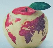 Binzz_的个人资料头像