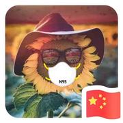 码上一元的个人资料头像