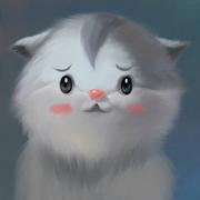 施浩的个人资料头像