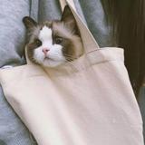 良溪流Q0w头像