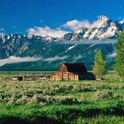 丢火车的个人资料头像