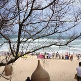 热情小羊J5头像