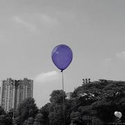 MeU988的个人资料头像