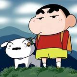 清闲的花猫8wx头像