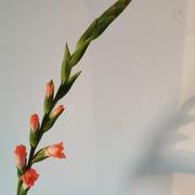 晴天615的个人资料头像