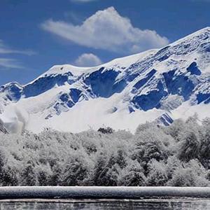 听风就是雪头像