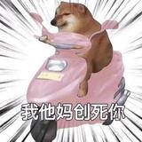 用户103163225039头像
