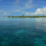 热心生活家sCO头像