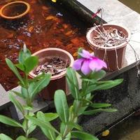 椰风海韵119119头像