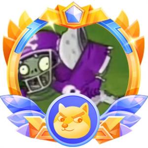 PVZ紫色橄榄球的梦想X头像