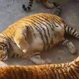 记不住呀头像