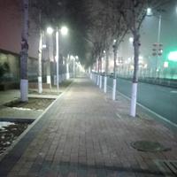 叶孤舟头像
