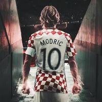 路易柒十四头像