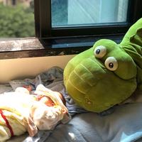 A深圳威固汽车贴膜头像