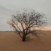 九夏lb的个人资料头像