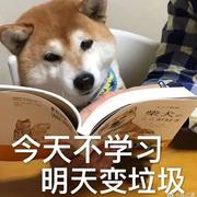 三维工厂的个人资料头像