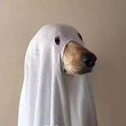 开完刀的个人资料头像