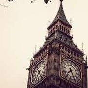 缘木派的个人资料头像