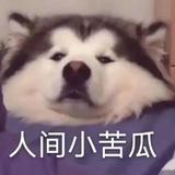 順德余文樂头像