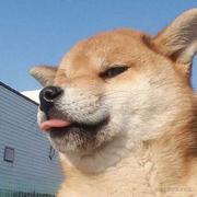 Kevin625的个人资料头像