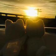 HumanRights的个人资料头像