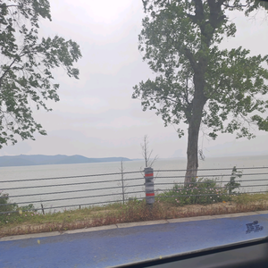 抖音专家头像