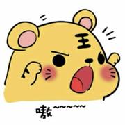 毛豆755的个人资料头像