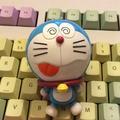realyuanwenxin头像