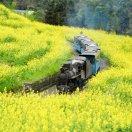 北极00000009号的个人资料头像