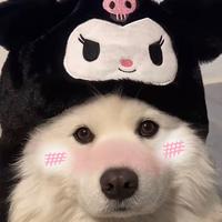 日落接我下班啦头像