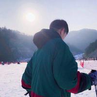 眼里都是灰灰头像