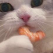 你在想的个人资料头像