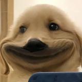 用户1327550885387头像