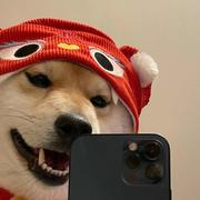 染安的个人资料头像