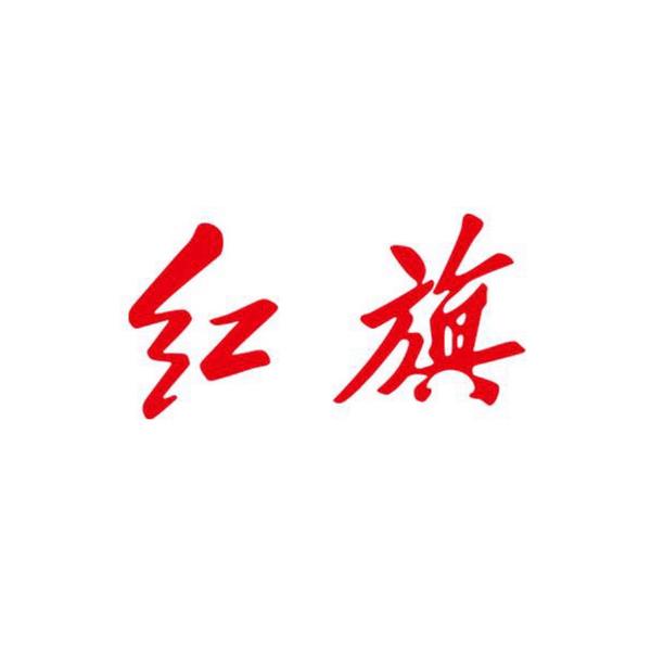 中国一汽向前看旗头像