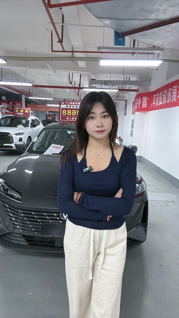 云南海网汽车头像