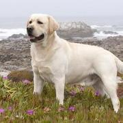 maxiaojuanmxj的个人资料头像