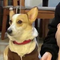 用户8358173788143头像