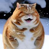 肥猫变生头像