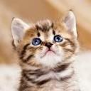 Ambition112的个人资料头像