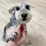 用户2880281679026头像