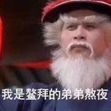 刘少伟骑猪撇标枪头像